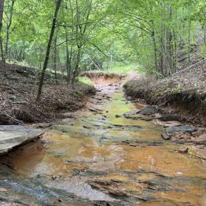 Photo #17 of Mountain View, Germanton, NC 13.9 acres