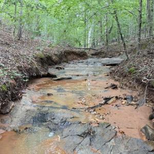 Photo #16 of Mountain View, Germanton, NC 13.9 acres