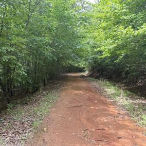 Photo #14 of Mountain View, Germanton, NC 13.9 acres