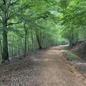 Photo #15 of Mountain View, Germanton, NC 13.9 acres