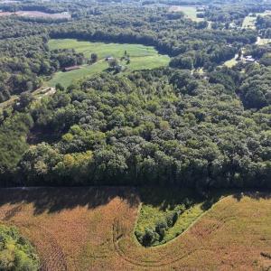 Photo #6 of Liberty Church, Yadkinville, NC 12.6 acres