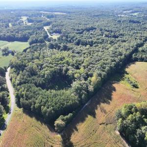 Photo #7 of Liberty Church, Yadkinville, NC 12.6 acres