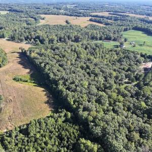Photo #5 of Liberty Church, Yadkinville, NC 12.6 acres