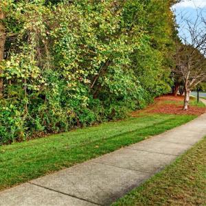 Photo #11 of Seay, Advance, NC 2.1 acres