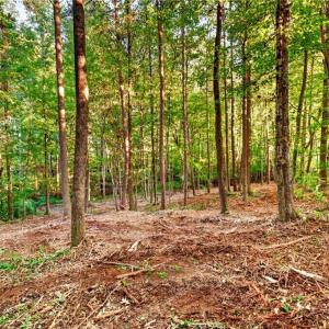 Photo #6 of Seay, Advance, NC 1.3 acres