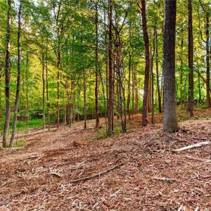 Photo #7 of Seay, Advance, NC 1.3 acres