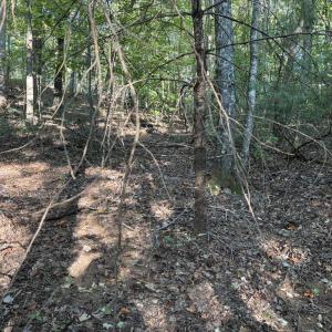 Photo #3 of Smith, Cana, VA 2.2 acres