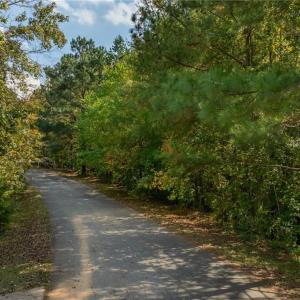 Entry to Plantation Dr