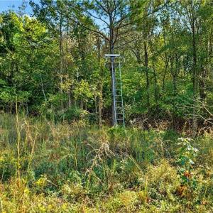 Photo #23 of 2347 Clacie, Liberty, NC 79.4 acres