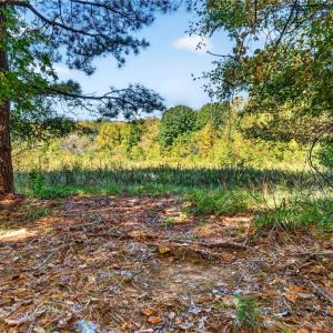 Photo #6 of 2347 Clacie, Liberty, NC 79.4 acres