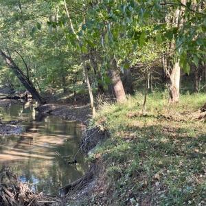 Photo #42 of 2347 Clacie, Liberty, NC 79.4 acres