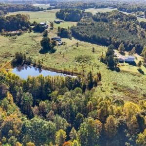 Photo #13 of 2347 Clacie, Liberty, NC 79.4 acres
