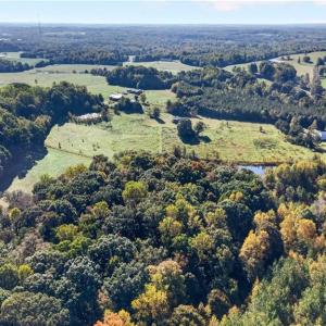 Photo #17 of 2347 Clacie, Liberty, NC 79.4 acres