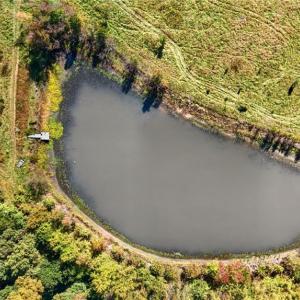 Photo #47 of 2347 Clacie, Liberty, NC 79.4 acres