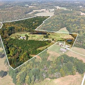 Photo #12 of 2347 Clacie, Liberty, NC 79.4 acres