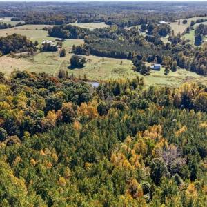 Photo #26 of 2347 Clacie, Liberty, NC 79.4 acres