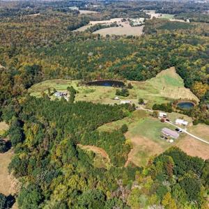 Photo #36 of 2347 Clacie, Liberty, NC 79.4 acres