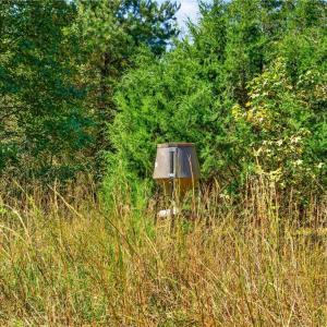 Photo #28 of 2347 Clacie, Liberty, NC 79.4 acres