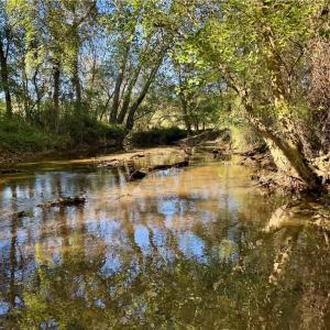 Photo #5 of 2347 Clacie, Liberty, NC 79.4 acres