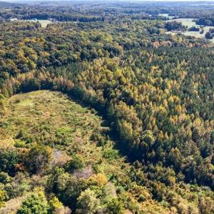 Photo #20 of 2347 Clacie, Liberty, NC 79.4 acres