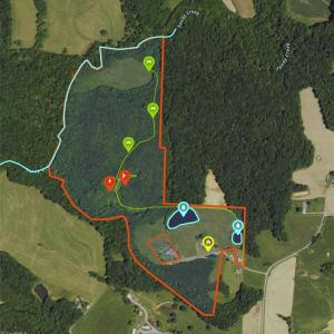 Photo #9 of 2347 Clacie, Liberty, NC 79.4 acres
