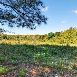 Photo #38 of 2347 Clacie, Liberty, NC 79.4 acres