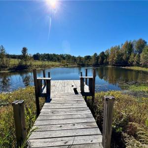 Photo #14 of 2347 Clacie, Liberty, NC 79.4 acres