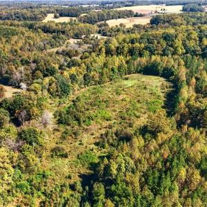 Photo #41 of 2347 Clacie, Liberty, NC 79.4 acres