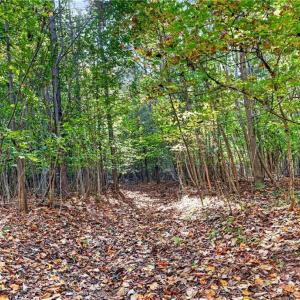 Photo #37 of 2347 Clacie, Liberty, NC 79.4 acres