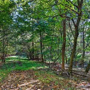 Photo #15 of 2347 Clacie, Liberty, NC 79.4 acres