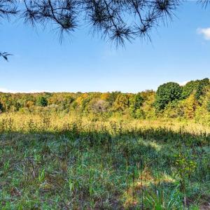 Photo #40 of 2347 Clacie, Liberty, NC 79.4 acres
