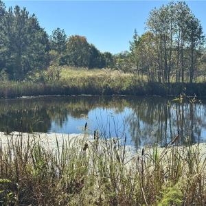 Photo #25 of 2347 Clacie, Liberty, NC 79.4 acres