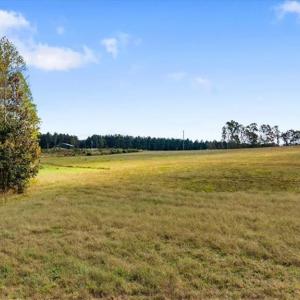 Photo #16 of 2025 Gravel Hill, Ruffin, NC 258.6 acres