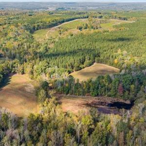Photo #7 of 2025 Gravel Hill, Ruffin, NC 258.6 acres