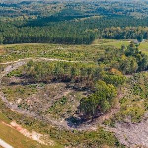Photo #9 of 2025 Gravel Hill, Ruffin, NC 258.6 acres