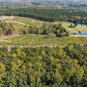 Photo #4 of 2025 Gravel Hill, Ruffin, NC 258.6 acres