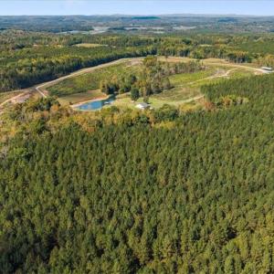Photo #8 of 2025 Gravel Hill, Ruffin, NC 258.6 acres