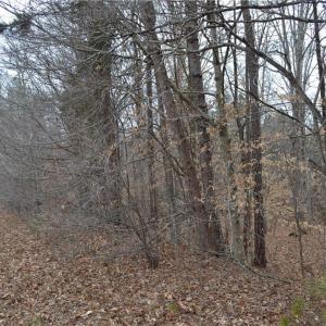 Photo #23 of 17 Acres Davie, Madison, NC 17.2 acres