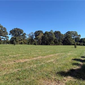 Photo #2 of Lot 1 Hidden Creek, Reidsville, NC 10.3 acres