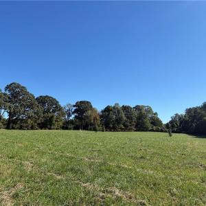 Photo #15 of Lot 1 Hidden Creek, Reidsville, NC 10.3 acres