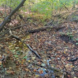 Photo #8 of Lot 1 Hidden Creek, Reidsville, NC 10.3 acres