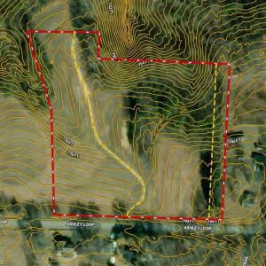 Photo #13 of Ashley, Eden, NC 7.5 acres