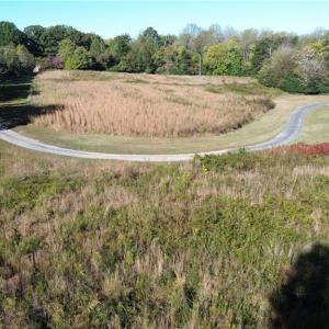 Photo #9 of Ashley, Eden, NC 7.5 acres