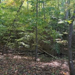 Photo #23 of Lot 8 Hidden Creek, Reidsville, NC 13.5 acres