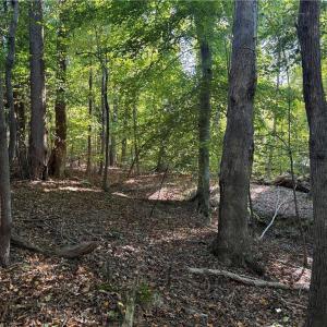 Photo #2 of Lot 8 Hidden Creek, Reidsville, NC 13.5 acres