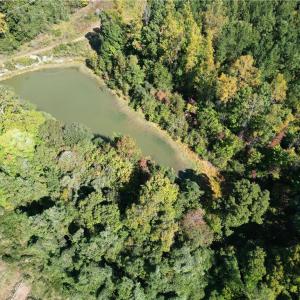 Photo #6 of Lot 8 Hidden Creek, Reidsville, NC 13.5 acres