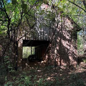 Photo #17 of Lot 8 Hidden Creek, Reidsville, NC 13.5 acres