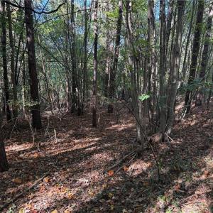 Photo #16 of Lot 8 Hidden Creek, Reidsville, NC 13.5 acres