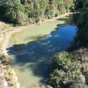 Photo #12 of Lot 8 Hidden Creek, Reidsville, NC 13.5 acres