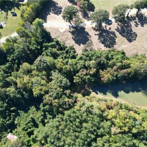Photo #26 of Lot 8 Hidden Creek, Reidsville, NC 13.5 acres